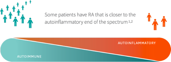 A horizontal cylindrical shape represents the spectrum of rheumatoid arthritis. On the left of the shape it says "AUTOIMMUNE" with 13 human-shaped icons above it. On the right side of the shape it says "AUTOINFLAMMATORY" and has only 3 human-shaped icons above it