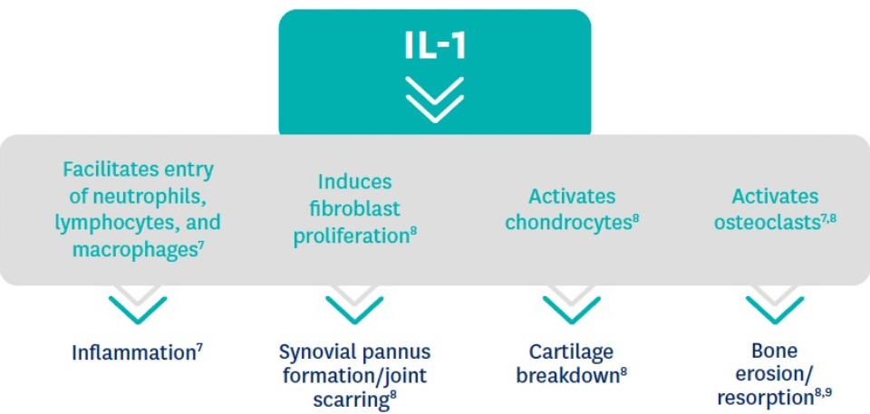 A chart showing various functions of IL-1 and how it can play a role in various types of systemic inflammation or damage